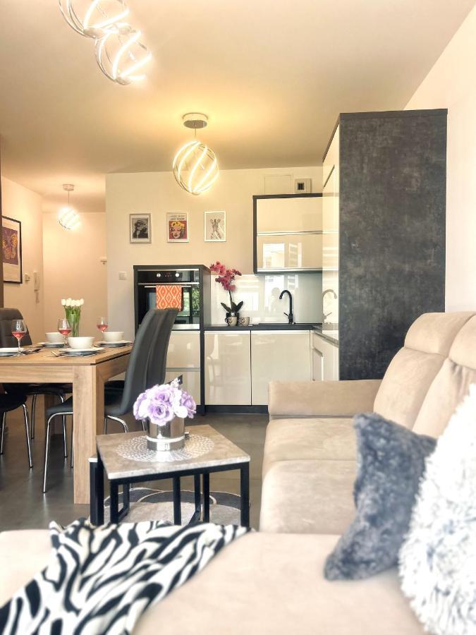 Downtownapartments Andy Air-Conditioned, Underground Parking Available Rzeszów Buitenkant foto